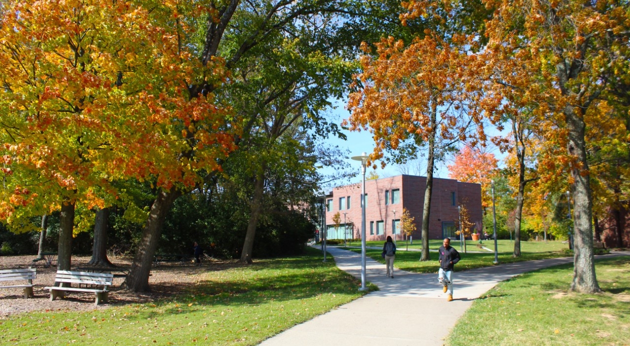 Blue Ash Bearcat Student Food Pantry, UC Blue Ash College - UC Blue Ash  College