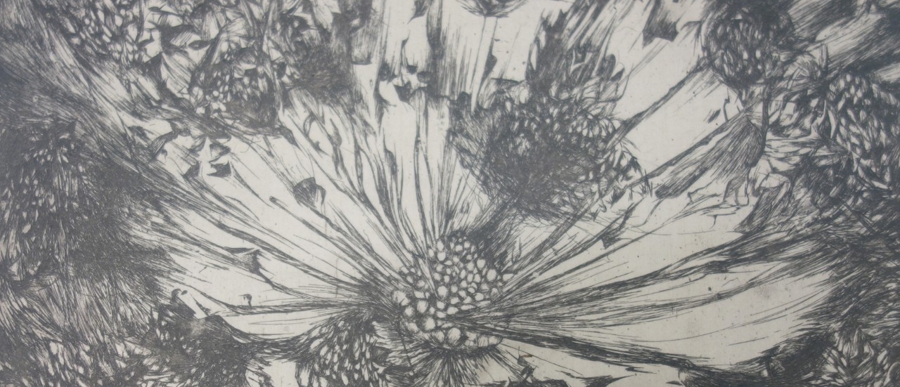 4. Seed Explosion, intaglio print on mulberry paper, 15” x 16” (2015)