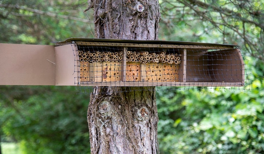 bee house
