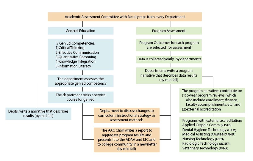 Assessment Flowchart