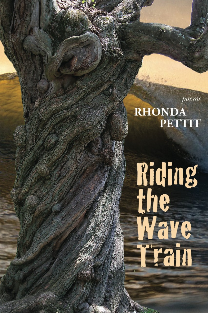 Riding the Wave Train book cover