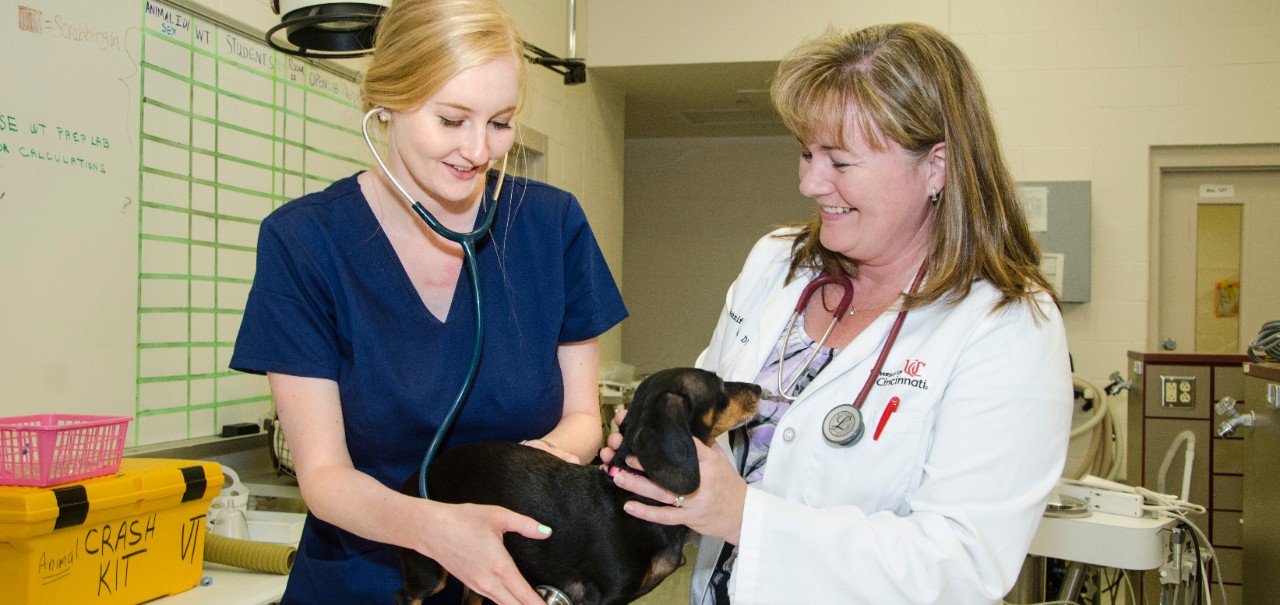 Professor Jennifer Wells working with a student and a puppy