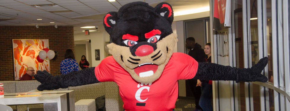 Application Steps UC Blue Ash College University of Cincinnati