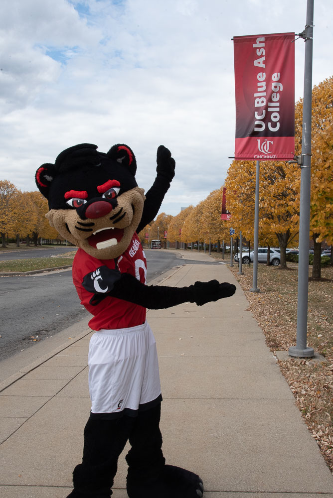 bearcat mascot