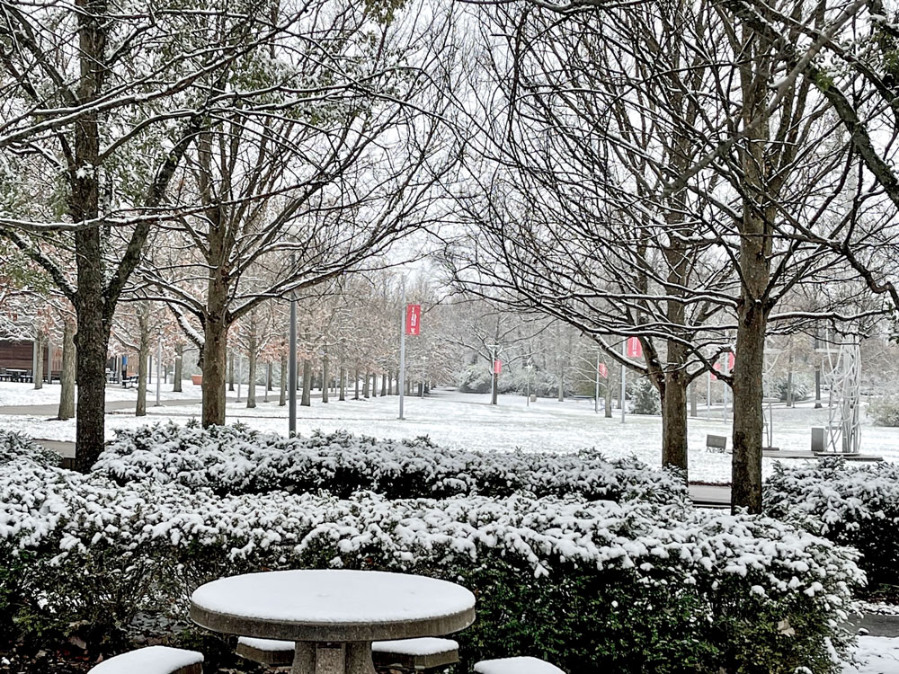 Snowy campus